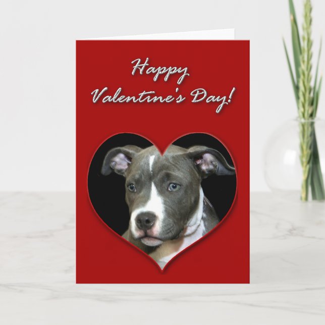 Festiva Tarjeta feliz del perrito de Pitbull del día de (Anverso)
