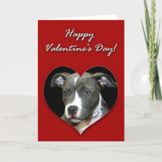 Festiva Tarjeta feliz del perrito de Pitbull del día de