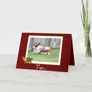 Festiva Tarjeta feliz w/Basset de la acción de gracias y