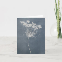 Festiva Tarjeta floral de encaje de la Reina Ana en blanco