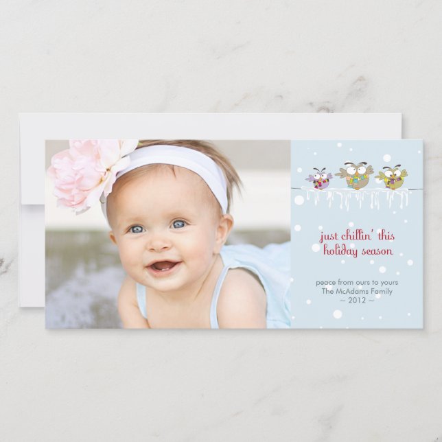 Festiva Tarjeta fotográfica Chillin' Owls Premium 4x8 (Anverso)