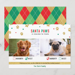Festiva Tarjeta fotográfica de dos perros traviesos o boni