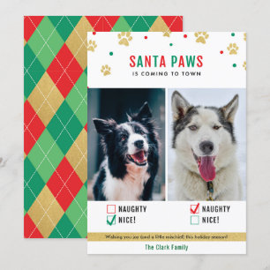 Festiva Tarjeta fotográfica de dos perros traviesos o boni