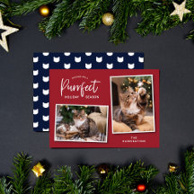 Tarjeta fotográfica de festividad para gato rojo y
