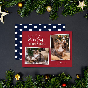 Festiva Tarjeta fotográfica de festividad para gato rojo y