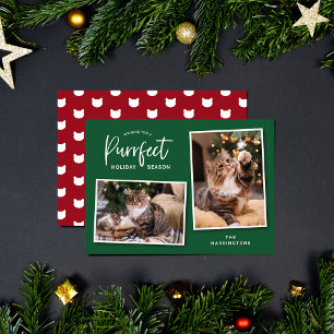 Festiva Tarjeta fotográfica de festividad para gatos verde