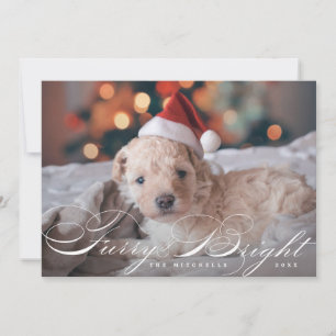 Festiva Tarjeta fotográfica de perro Mascota elegante y br