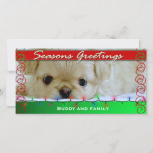 Festiva Tarjeta fotográfica de perro personalizada Seasons