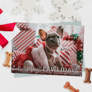 Festiva Tarjeta fotográfica Gray Happy Pawlidays Pet Lover