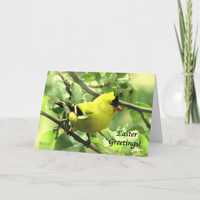 Festiva Tarjeta Goldfinch Easter (Anverso)