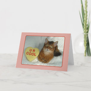 Festiva Tarjeta Guay de Valentine Kitty U R