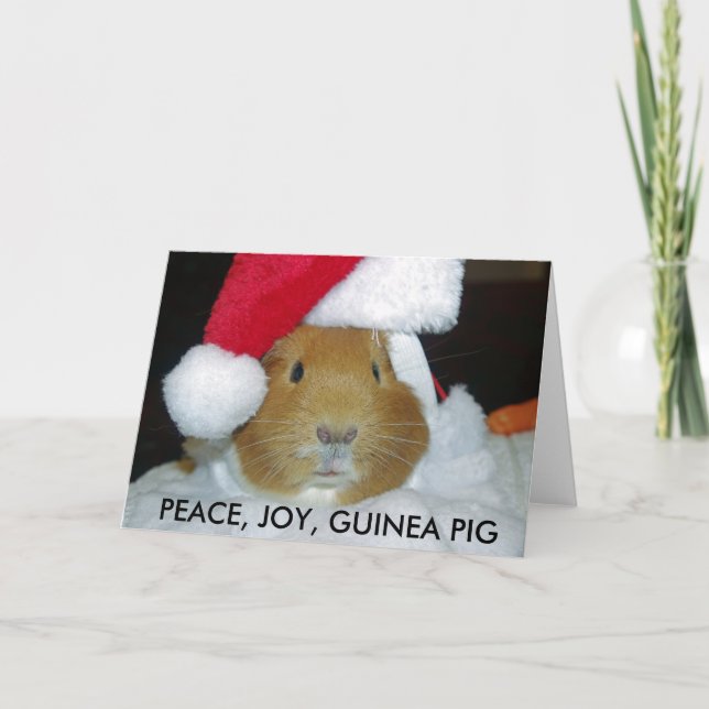 Festiva TARJETA GUINEA PIG PARA navidades (Anverso)