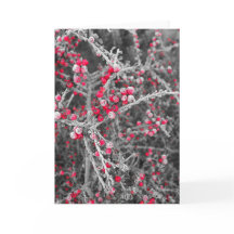 Tarjeta helada de las bayas