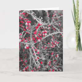 Festiva Tarjeta helada de las bayas