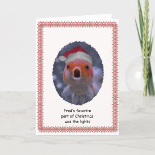 Festiva Tarjeta humorística de los navidades Goldfish