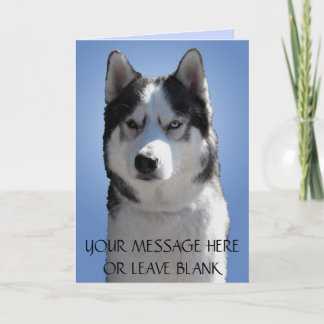 Festiva Tarjeta Husky Siberiana / Tarjeta Malamute Alaskan