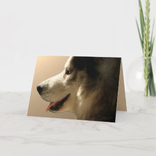 Festiva Tarjeta Husky Tarjeta Malamute Alaskan Personaliza