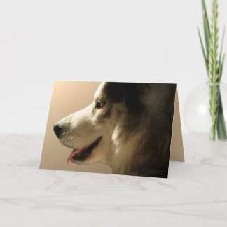 Festiva Tarjeta Husky Tarjeta Malamute Alaskan Personaliza
