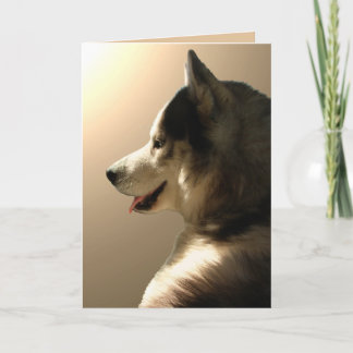 Festiva Tarjeta Husky Tarjeta Malamute Alaskan Personaliza