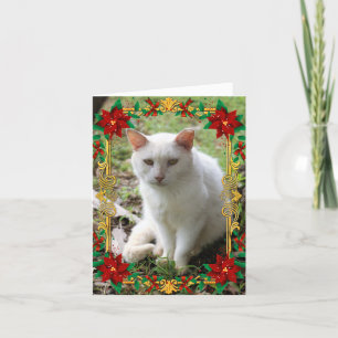 Festiva Tarjeta ideal del día de fiesta del gato del