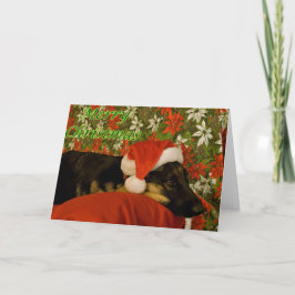 Festiva Tarjeta II de Navidades Pastores Alemanes
