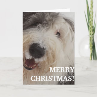 Festiva Tarjeta inglesa vieja del perro pastor - Felices