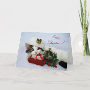 Festiva Tarjeta Kitten para navidades