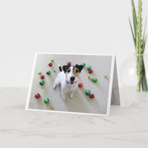 Festiva Tarjeta lanzada de Jack Russell Terrier de los