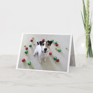 Festiva Tarjeta lanzada de Jack Russell Terrier de los
