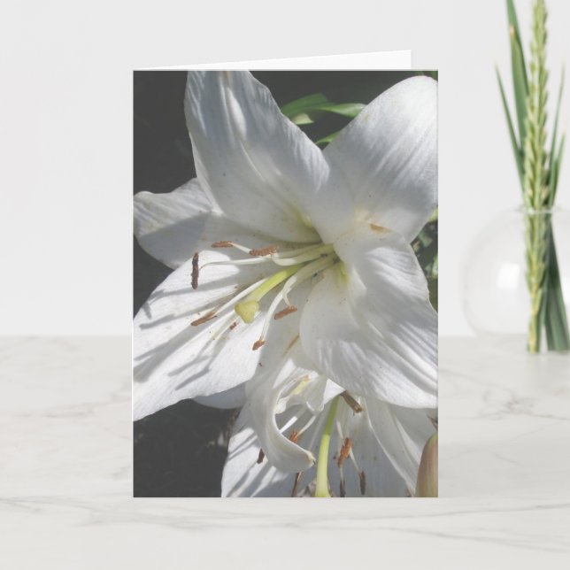 Festiva Tarjeta Lillies blanca (Anverso)