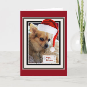Festiva Tarjeta linda del día de fiesta del perrito