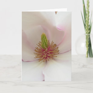 Festiva Tarjeta Magnolia con tarjeta de brillo blanco pers