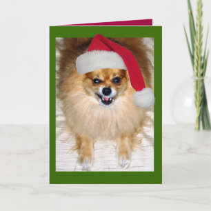 Festiva Tarjeta mala de Navidades de Santa Claus