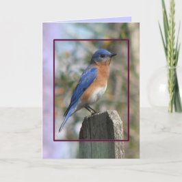 Festiva Tarjeta masculina de Bluebird Oriental