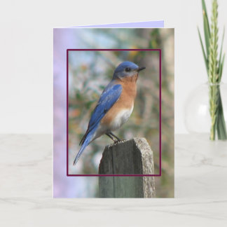 Festiva Tarjeta masculina de Bluebird Oriental