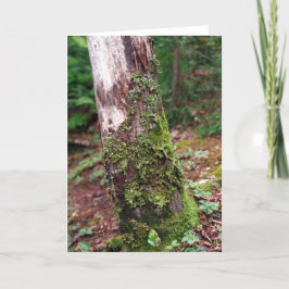 Festiva Tarjeta Mossy Tree