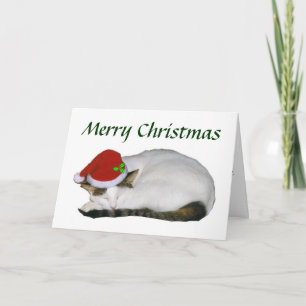 Festiva Tarjeta Nap Cat para navidades