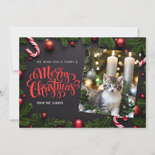 Festiva Tarjeta navideña Cat Xmas (Anverso)