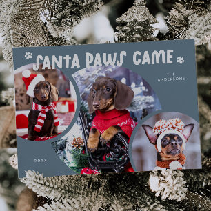 Festiva Tarjeta navideña de fotos de perro azul de Santa P