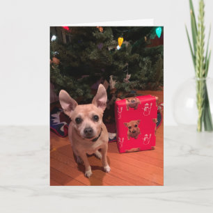 Festiva Tarjeta Navideña Doble de Chihuahua Adorable