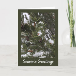 Festiva Tarjeta Navideña Doble de Conos de Pino Nevados