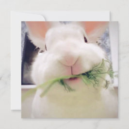 Festiva Tarjeta navideña feliz