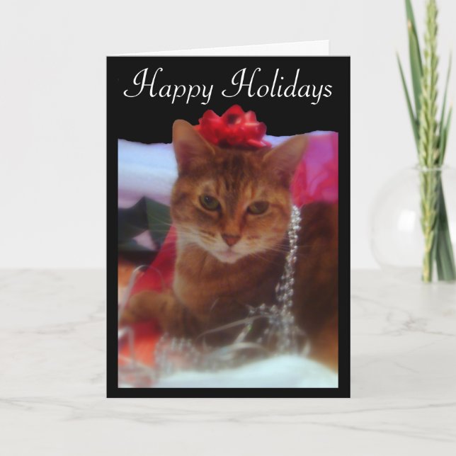 Festiva Tarjeta navideña para fotografía de gatos "regalo  (Anverso)