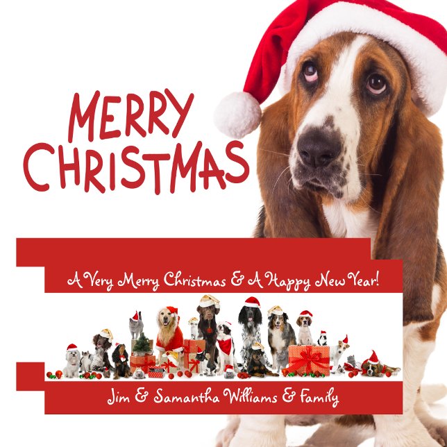 Festiva Tarjeta navideña para los amantes del perro (Dog Lovers - Merry Christmas Card)