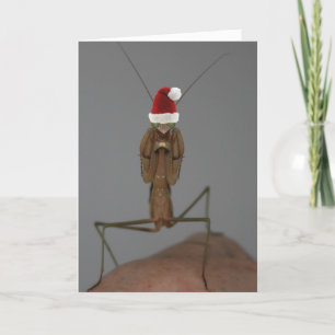 Festiva Tarjeta navideña para rezar a Mantis