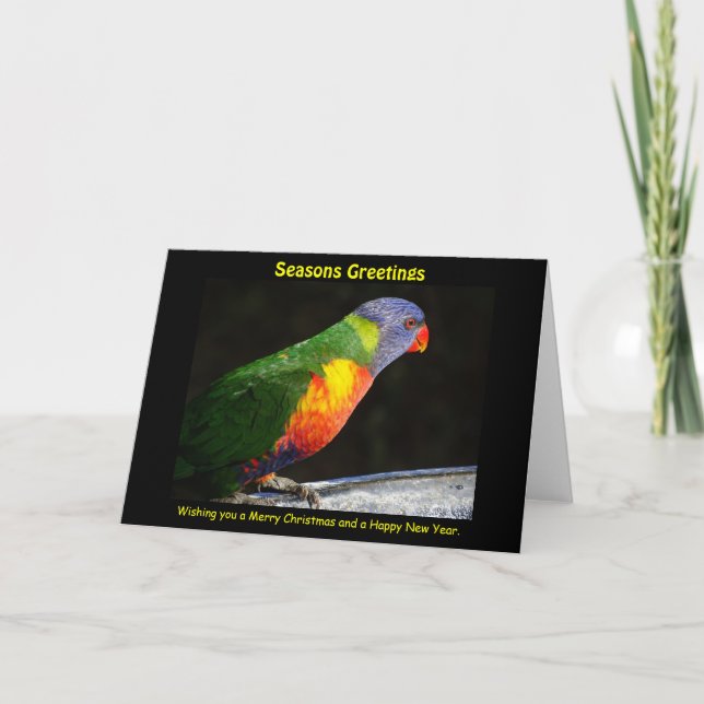 Festiva Tarjeta navideña Rainbow Lorikeet (Anverso)