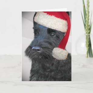 Festiva Tarjeta negra de Terrier Santa del escocés