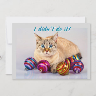 Festiva Tarjeta para Navidades de dos caras de gato con Na