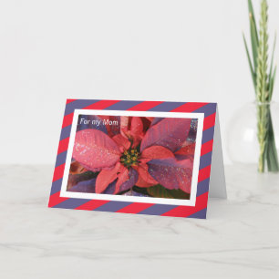 Festiva Tarjeta para Navidades de mamá — Poinsettia