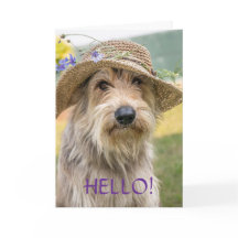 TARJETA PARA PERRO ELEGANTE - PENSANDO EN TI